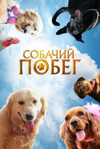 Собачий побег (2023) онлайн бесплатно
